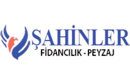 ahinler Fidanclk